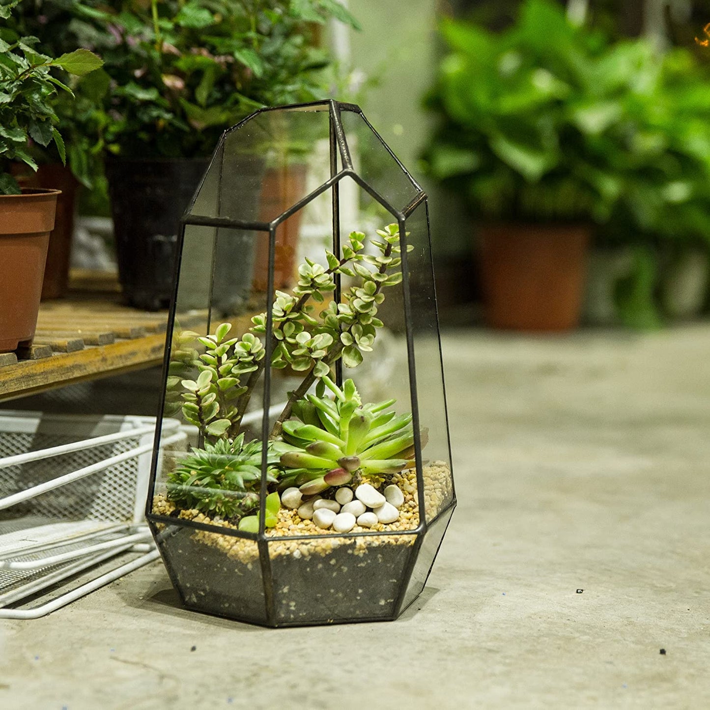 Geometric Glass Terrarium Planter for Succulent, Small Cacti, Black Irregular Opened Container Pot, Indoor Home Garden Office Tabletop Decor, 6.5" X 5.7" X 9.8" (No Plants, No Door)